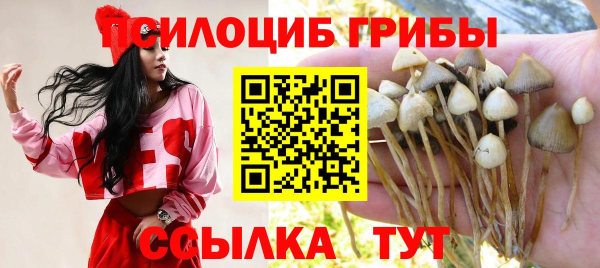 Псилоцибиновые грибы MAGIC MUSHROOMS Мариинск